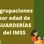 ¿Cómo se agrupan los niños en las guarderías afiliadas al IMSS?